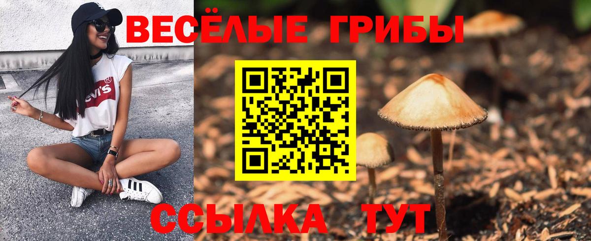 Псилоцибиновые грибы Psilocybine cubensis  Псилоцибиновые грибы мухоморы  продажа наркотиков  Вход с VPN  Фрязино 