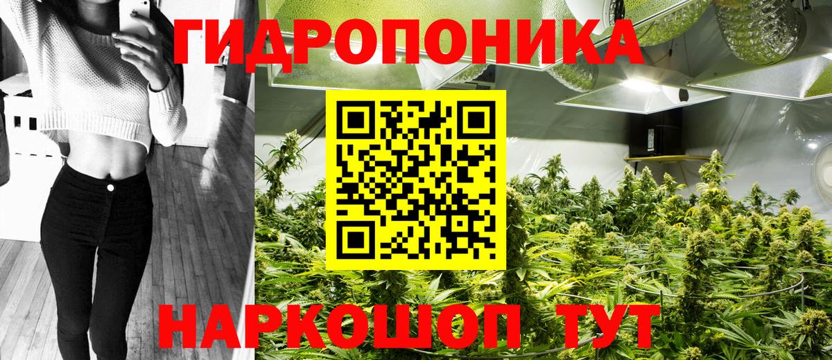 МАРИХУАНА планчик  МАРИХУАНА сатива  Фрязино  Вход с VPN 